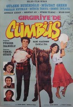 Gırgıriyede Cümbüş (1983) afişi