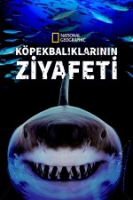 Great Shark Chow Down (2019) Fragman (2019) afişi