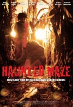 Haunted Maze (2011) afişi