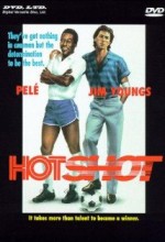 Hotshot (2001) afişi