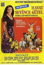 Hayat Sevince Güzel (1971) afişi