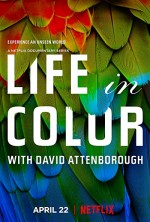 Hayatın Renkleri (2021) afişi