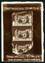 Horse Shoeing (1893) afişi