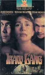 Ikaw lang (1993) afişi