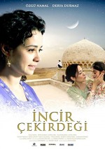 İncir Çekirdeği (2009) afişi