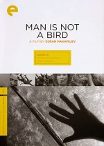 İnsan Kuş Değildir (1965) afişi