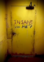 Insane Like Me? (2024) afişi