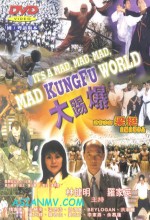 It's A Mad Mad Mad Kung Fu World (2000) afişi