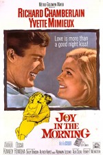 Joy In The Morning (1965) afişi
