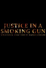 Justice in a Smoking Gun (2015) afişi