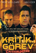 Kiritik Görev (2009) afişi