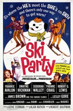 Kayak Partisi (1965) afişi