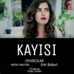 Kayısı (2015) afişi