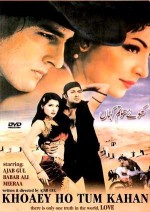 Khoey Ho Tum Kahan (2001) afişi