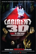 Labirent 3D (2009) afişi