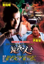 Legend Of The Dragon (2004) afişi