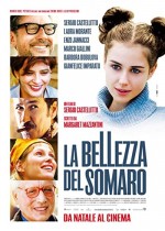 La Bellezza Del Somaro (2010) afişi