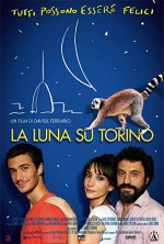 La luna su Torino (2013) afişi