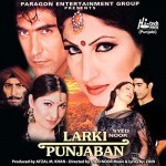 Larki Punjaban (2003) afişi