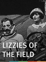 Lizzies Of The Field (1924) afişi