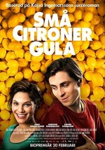 Love and Lemons (2013) afişi