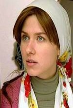 Memleket Hikayeleri - Pınar Başından Bulanır (2006) afişi