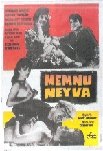 Memnu Meyva (1962) afişi