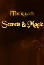 Merlin: Secrets And Magic (2009) afişi