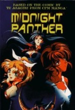 Midnight Panther (1998) afişi