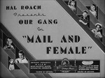 Mail And Female (1937) afişi