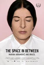 Marina Abramovic Araf'ta (2016) afişi