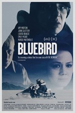 Mavi Kuş (2013) afişi