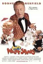 Meet Wally Sparks (1997) afişi