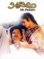 Mr. Pellam (1993) afişi