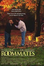 Oda Arkadaşları (1995) afişi