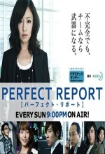 Perfect Report (2010) afişi