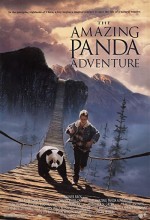 Panda Macerası (1995) afişi