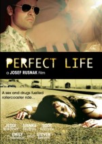 Perfect Life (2010) afişi
