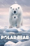 Polar Bear (2022) afişi Polar Bear (2022) afişi