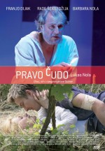 Pravo Cudo (2007) afişi