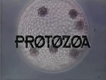 Protozoa (1993) afişi