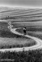 Roads Of Kiarostami (2006) afişi