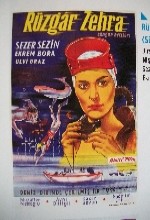Rüzgar Zehra (1963) afişi
