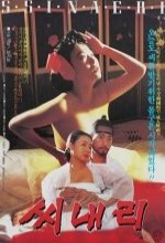 Shinaeri (1993) afişi
