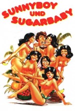 Sunnyboy And Sugarbaby (1979) afişi