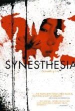 Synesthesia (2005) afişi