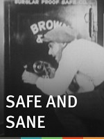 Safe And Sane (1924) afişi