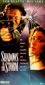 Shadows in The Storm (1988) afişi