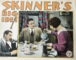Skinner's Big ıdea (1928) afişi
