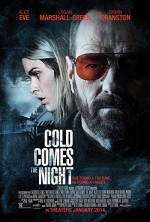 Soğuk Gece Gelir (2013) afişi